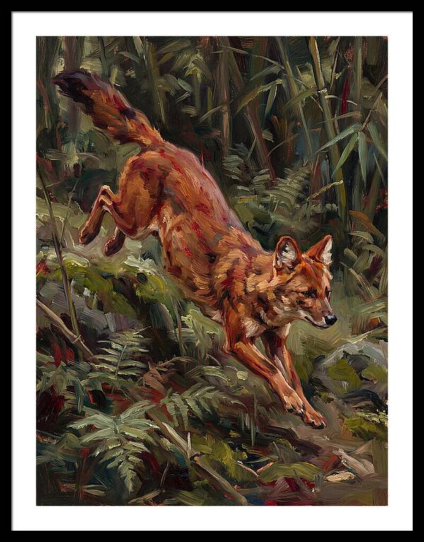 Dhole In Motion