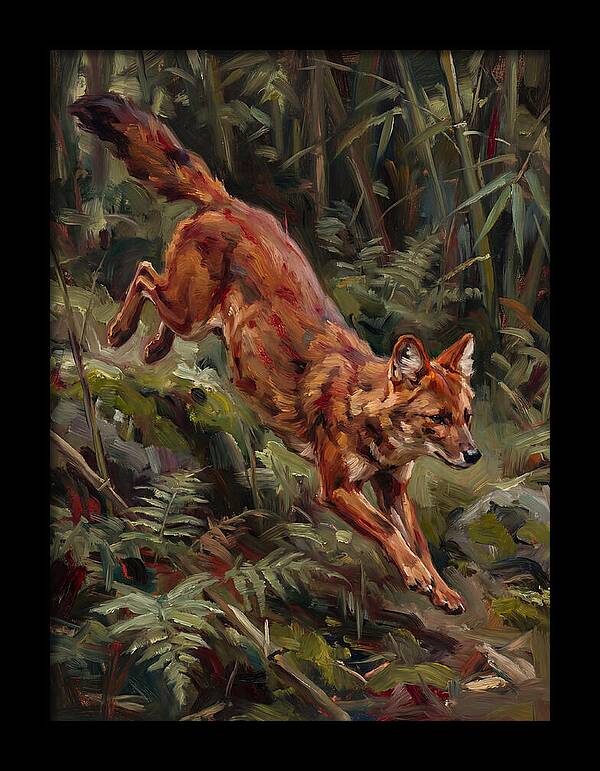 Dhole In Motion
