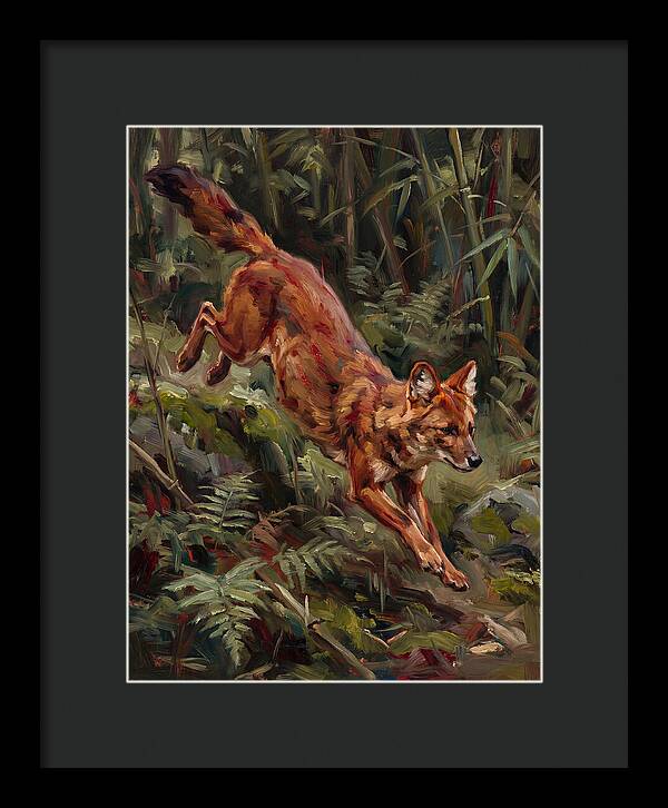 Dhole In Motion