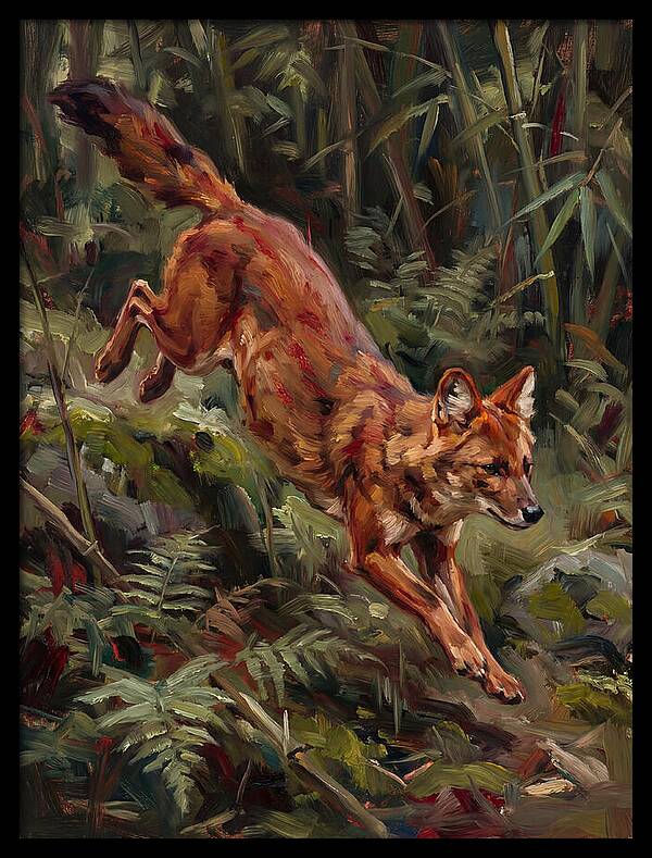 Dhole In Motion