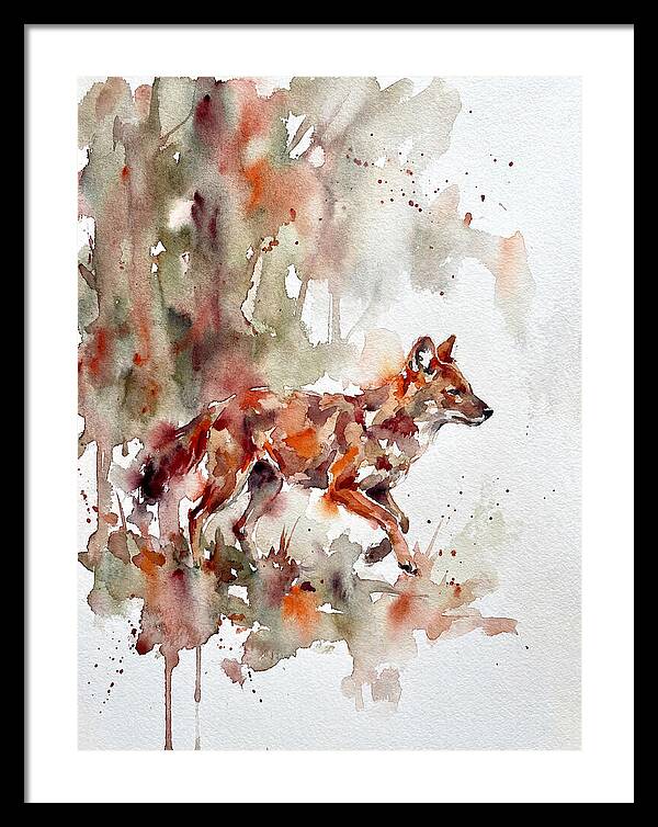 Dhole In Watercolor Splendor