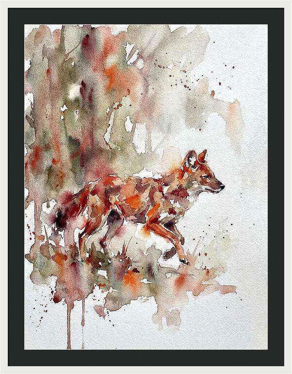 Dhole In Watercolor Splendor