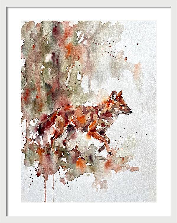 Dhole In Watercolor Splendor