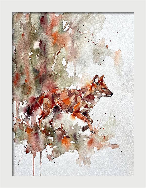 Dhole In Watercolor Splendor