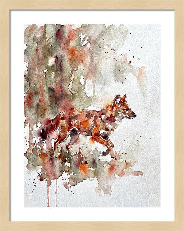 Dhole In Watercolor Splendor