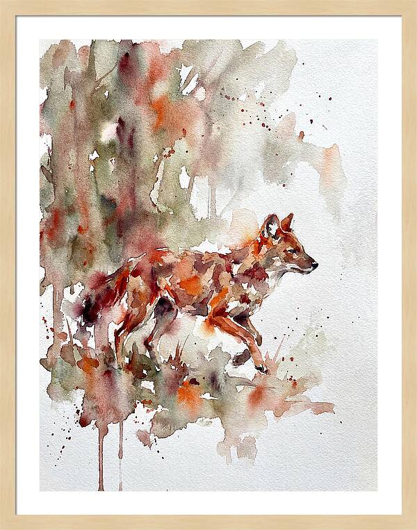 Dhole In Watercolor Splendor
