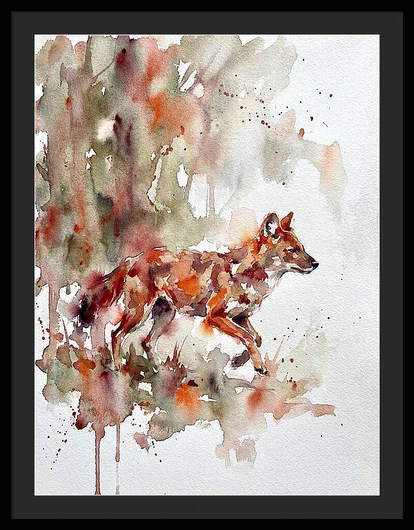 Dhole In Watercolor Splendor