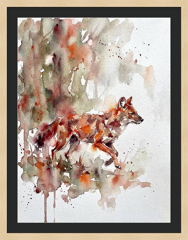 Dhole In Watercolor Splendor