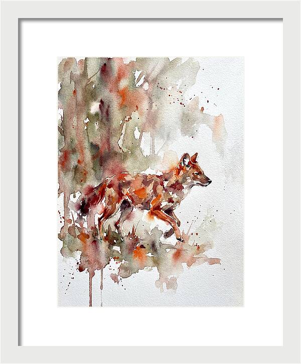 Dhole In Watercolor Splendor