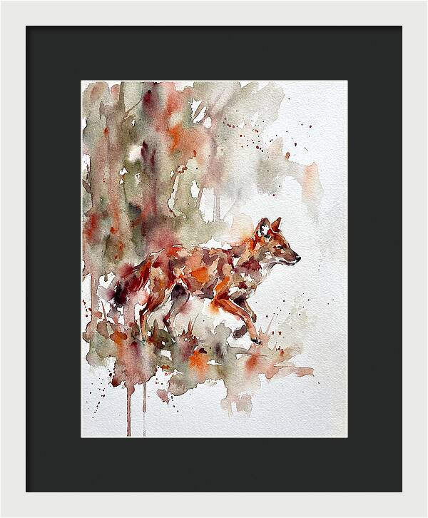 Dhole In Watercolor Splendor