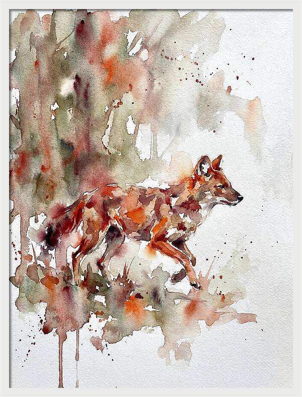 Dhole In Watercolor Splendor