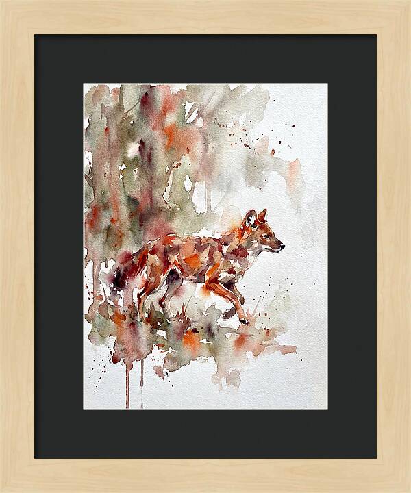 Dhole In Watercolor Splendor
