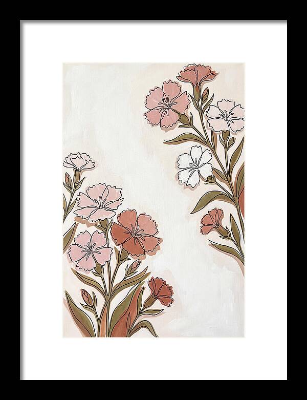 Dianthus Blooms In Soft Hues
