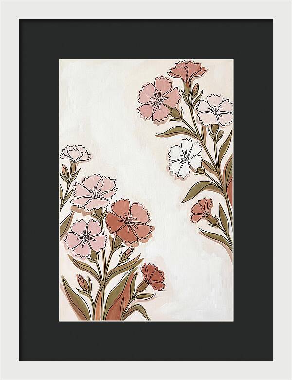 Dianthus Blooms In Soft Hues