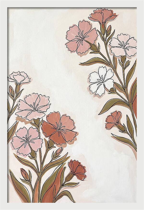 Dianthus Blooms In Soft Hues