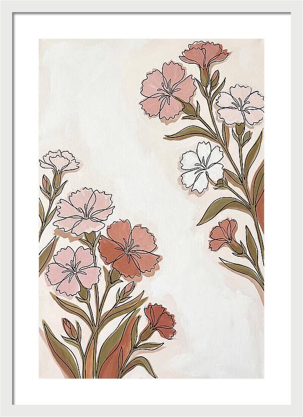 Dianthus Blooms In Soft Hues