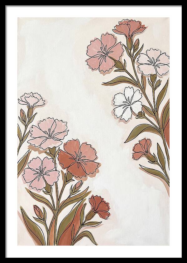 Dianthus Blooms In Soft Hues