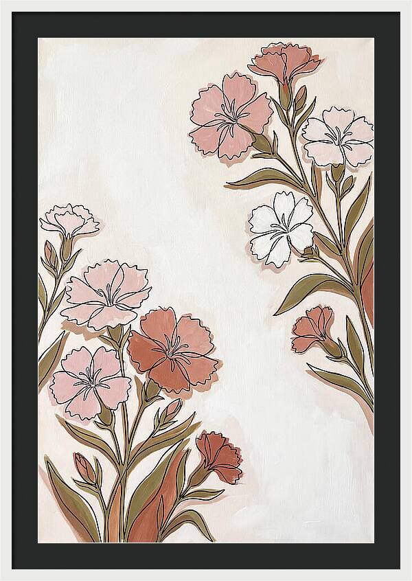Dianthus Blooms In Soft Hues