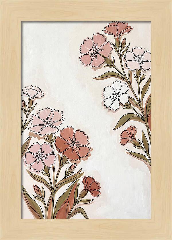 Dianthus Blooms In Soft Hues