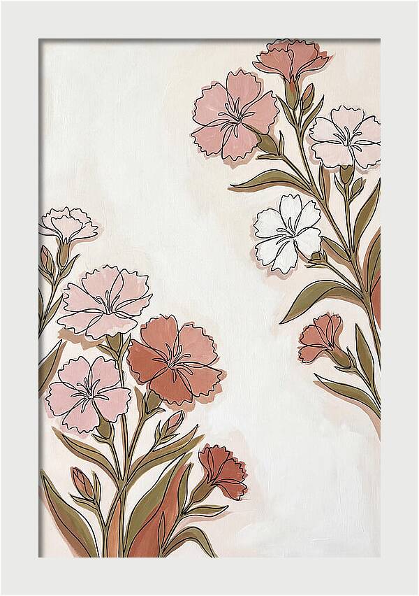 Dianthus Blooms In Soft Hues
