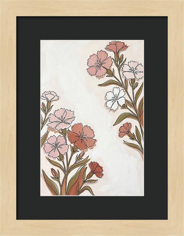 Dianthus Blooms In Soft Hues