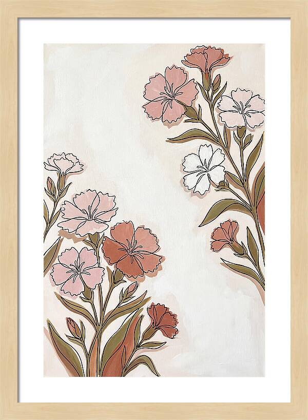 Dianthus Blooms In Soft Hues