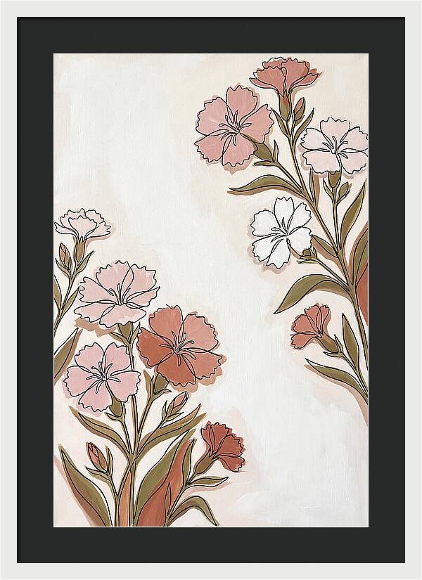 Dianthus Blooms In Soft Hues