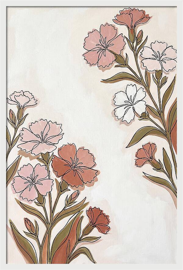 Dianthus Blooms In Soft Hues