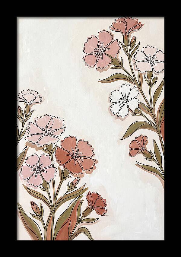 Dianthus Blooms In Soft Hues
