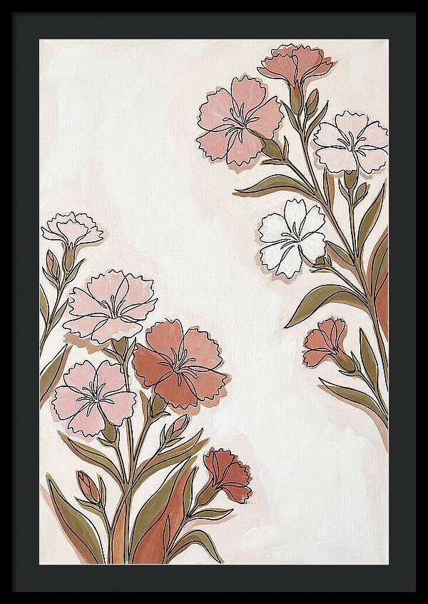 Dianthus Blooms In Soft Hues