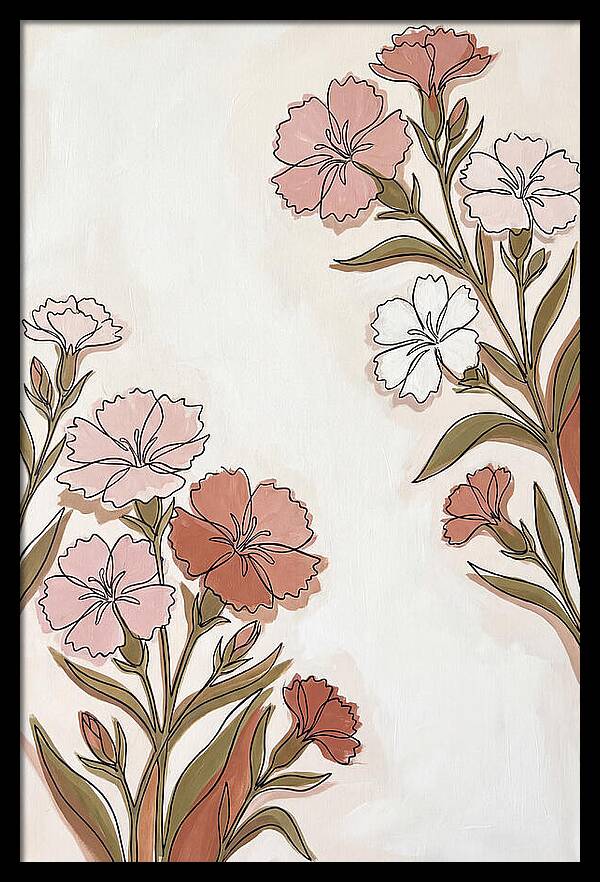 Dianthus Blooms In Soft Hues