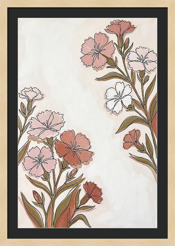 Dianthus Blooms In Soft Hues
