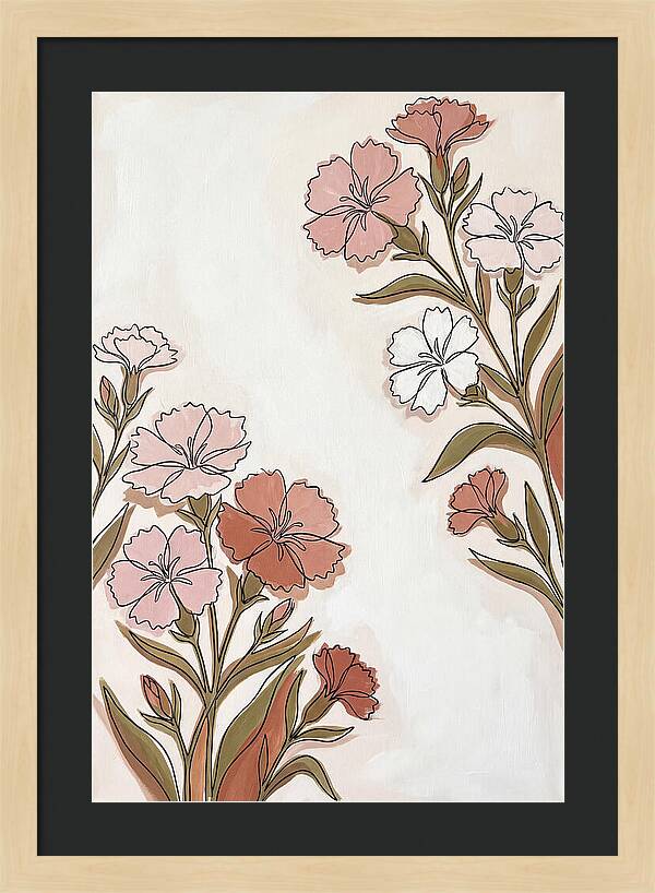 Dianthus Blooms In Soft Hues