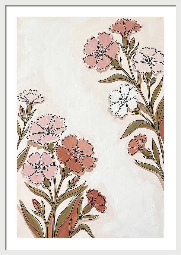 Dianthus Blooms In Soft Hues