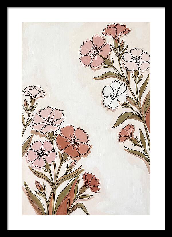 Dianthus Blooms In Soft Hues