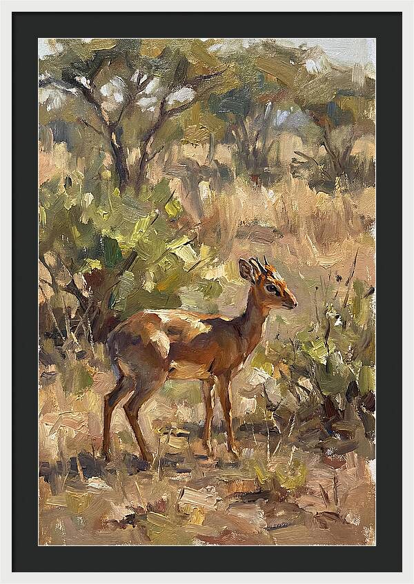 Dik Dik In Natural Habitat