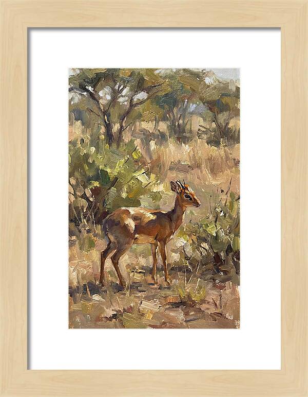 Dik Dik In Natural Habitat