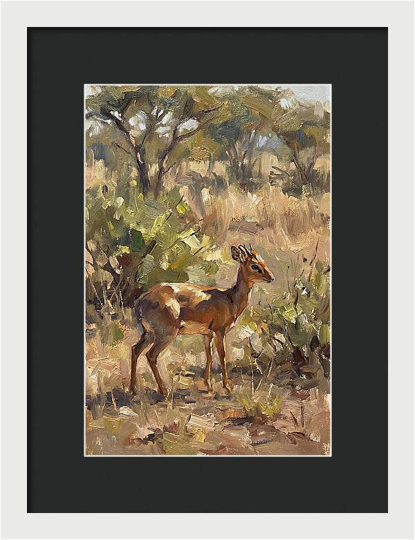 Dik Dik In Natural Habitat