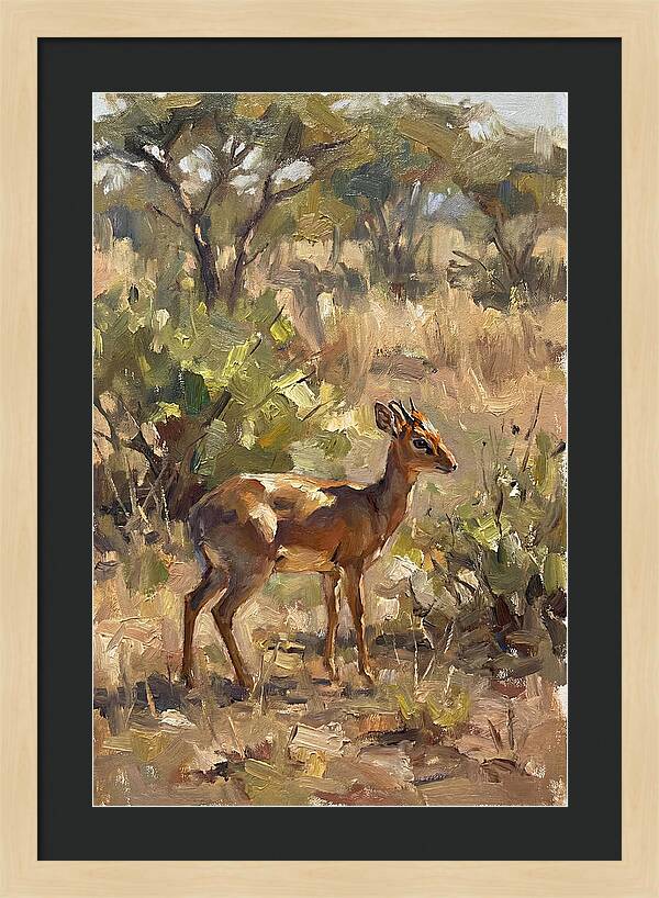 Dik Dik In Natural Habitat