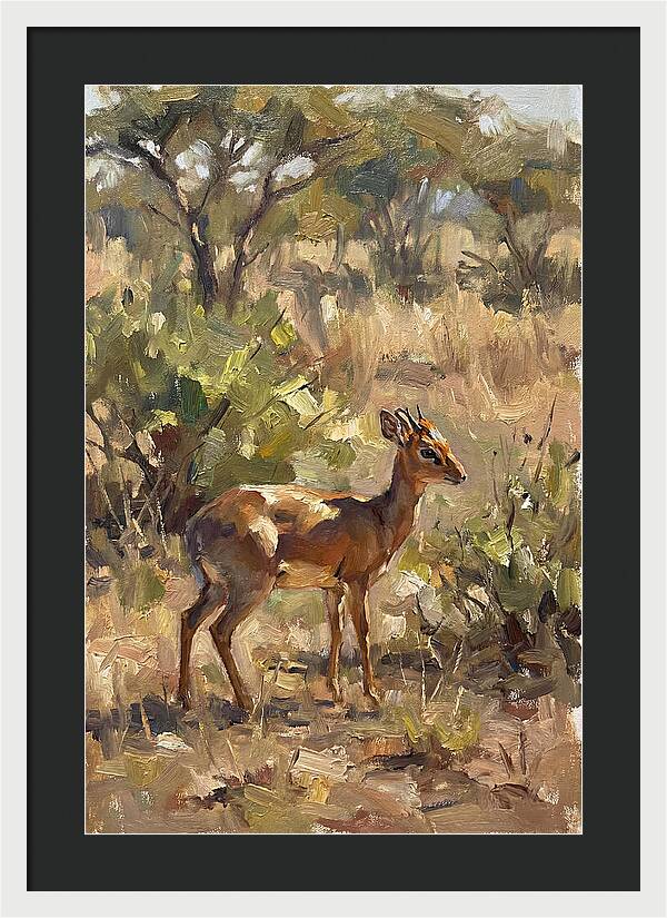 Dik Dik In Natural Habitat