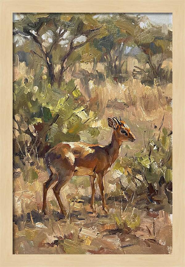 Dik Dik In Natural Habitat