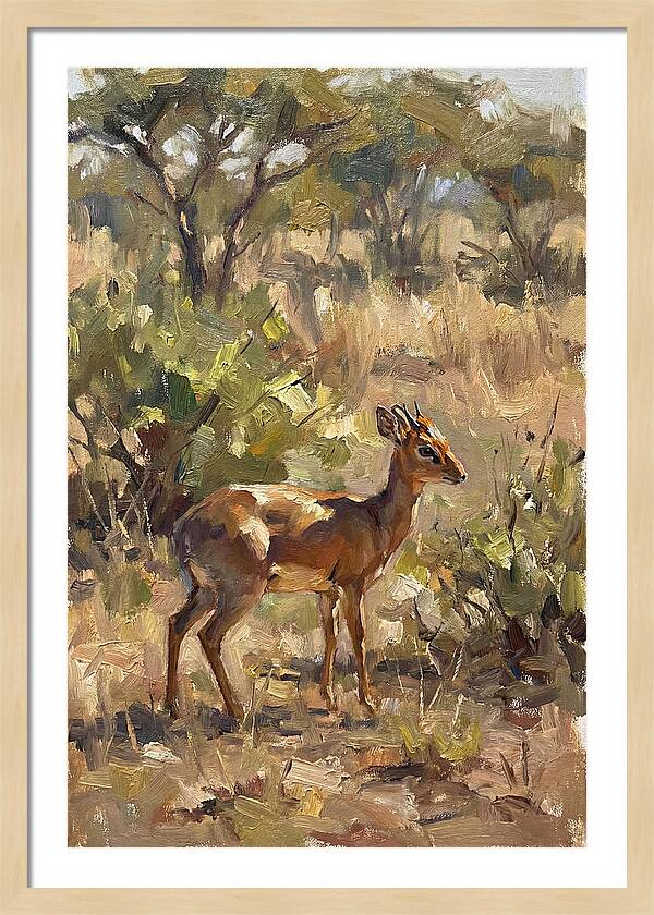 Dik Dik In Natural Habitat