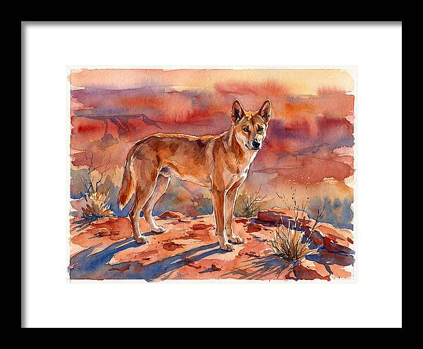 Dingo In The Desert