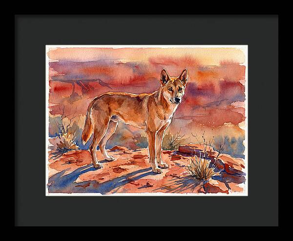 Dingo In The Desert