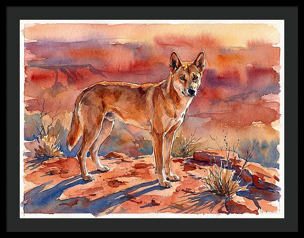 Dingo In The Desert