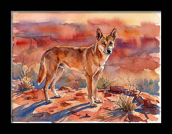 Dingo In The Desert