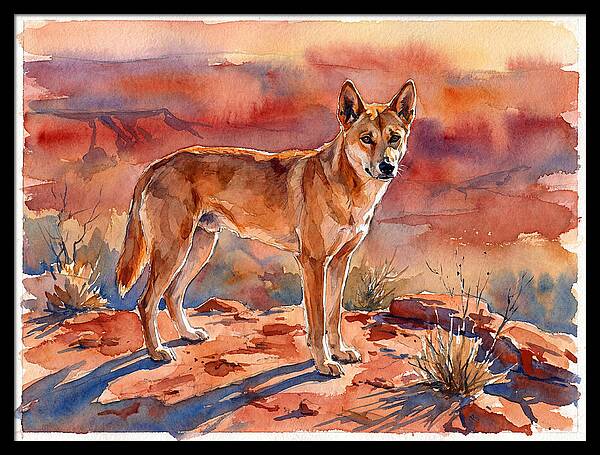 Dingo In The Desert