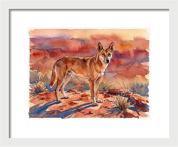Dingo In The Desert