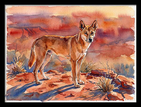 Dingo In The Desert