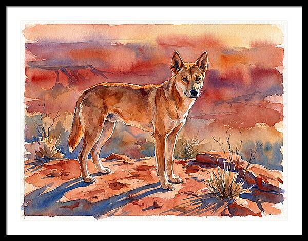 Dingo In The Desert